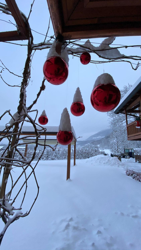 Others 2, LA TANA DEL GRILLO, Belluno