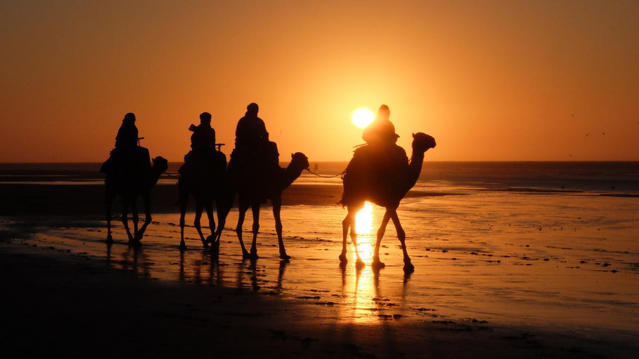 Others 4, GOLVEN Surf, Agadir-Ida ou Tanane