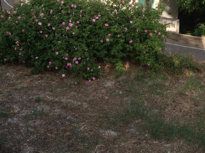Others 5, AGIOS NICOLAOS River Park