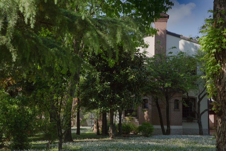 Others 5, Ca' delle palme, Venezia