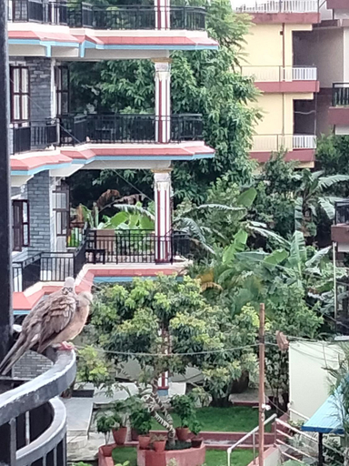 Others 4, Sunset guest house, Gandaki
