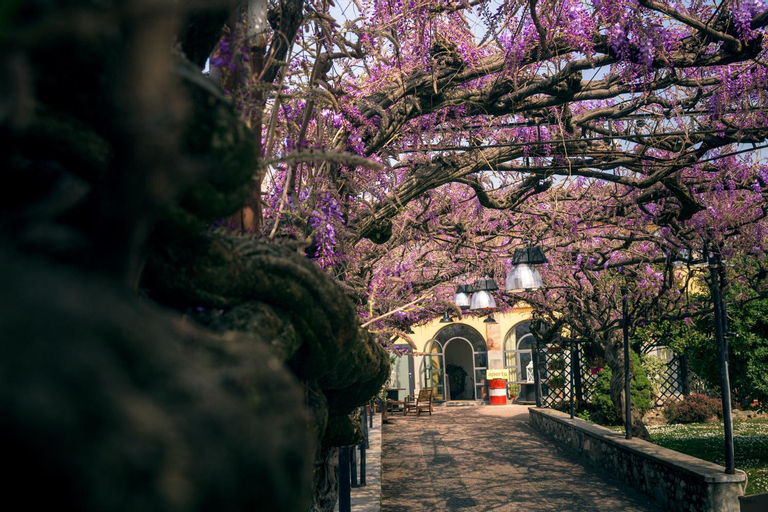 il Glicine B&B RISTORANTE, Brescia