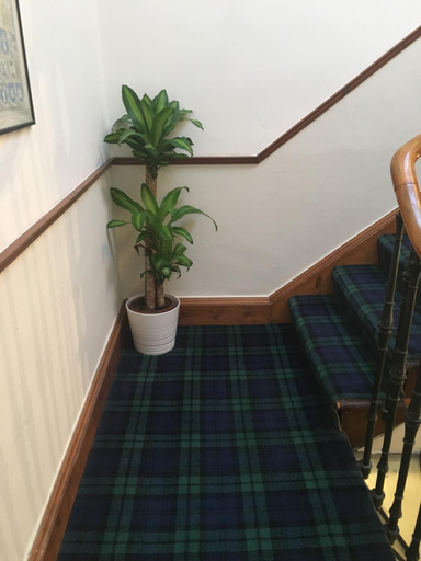 Public Area, Airdenair Guest House, Edinburgh