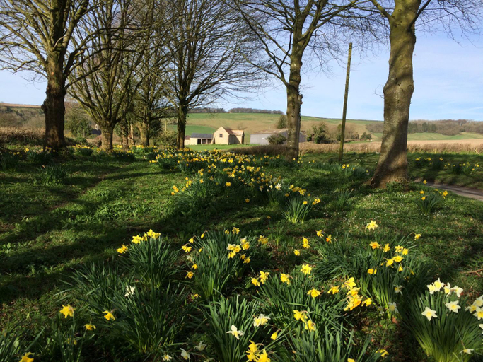 Others 3, Higher Melcombe Manor, Dorset