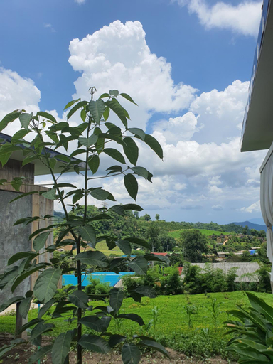 Scenery 4