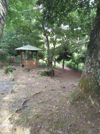 Others 5, HALEILIO, Itō