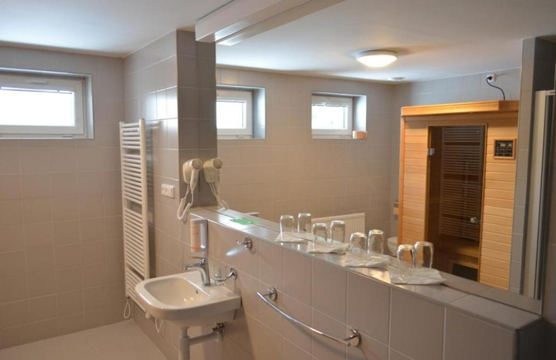 Bathroom, Hotel CESKA FARMA, Trutnov