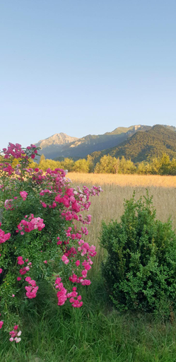 Others 5, Cabana Vanatorului 8, Rasnov
