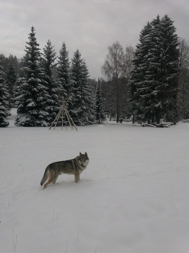 Others 5, Hotel CESKA FARMA, Trutnov