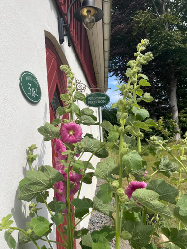 Others 5, Glivarpagarden, Simrishamn