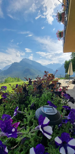 Others 5, Lo Noyer Et Les Roses, Aosta