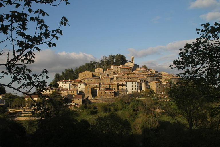 Agriturismo Poggio alla Luna, Grosseto