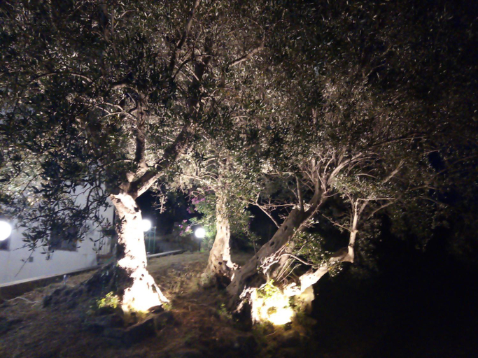 Others 5, L'Antica Quercia B&B, Messina