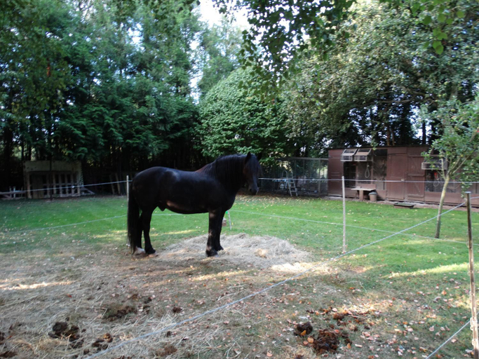 Others 4, La Grange du Verger, Somme