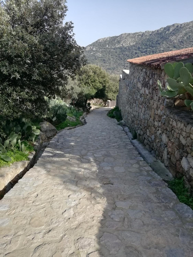 Others 2, Clos Olivella, Haute-Corse