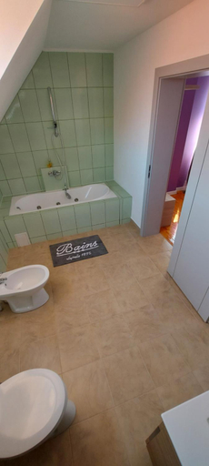 Bathroom 2, Casa Bita, Sibiu