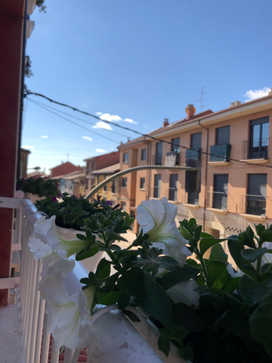 Others 3, Hostal San Juan, León