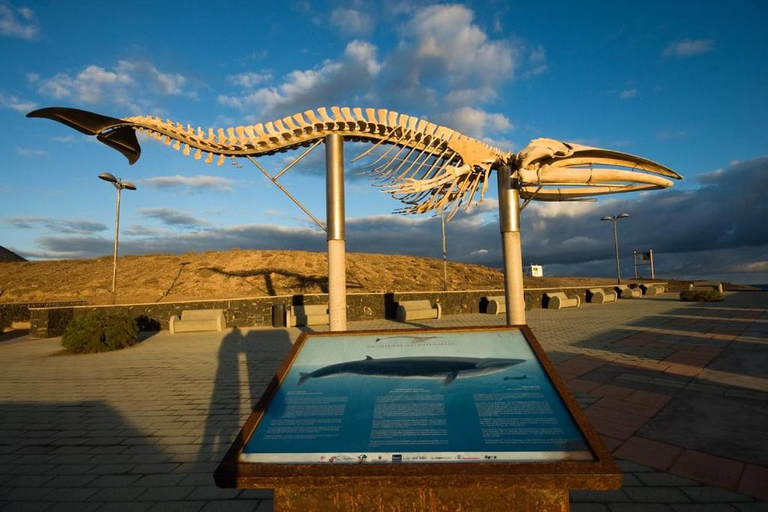 Sport & Beauty, Precioso Apto Caleta Interian Beach By Paramount Holidays, Santa Cruz de Tenerife