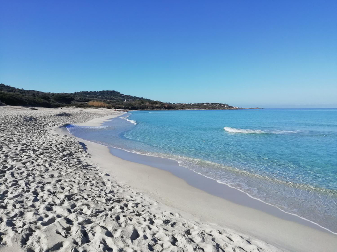 Others 4, Clos Olivella, Haute-Corse