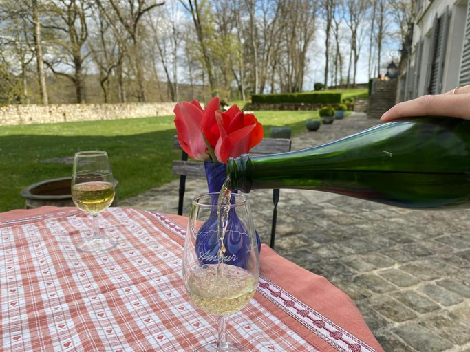 Others 4, La chambre des vignerons, Aisne