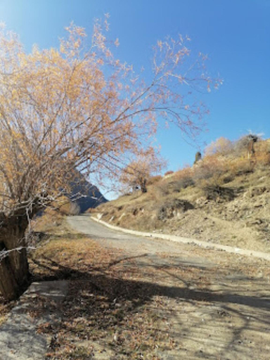 Others 4, Goroomgo Himalaya Retreat Homestay, Lahul & Spiti