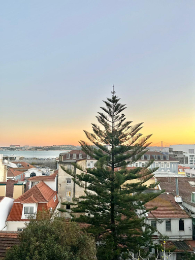 Others 4, Frank's House & Happy DOWNTOWN, Lisbon