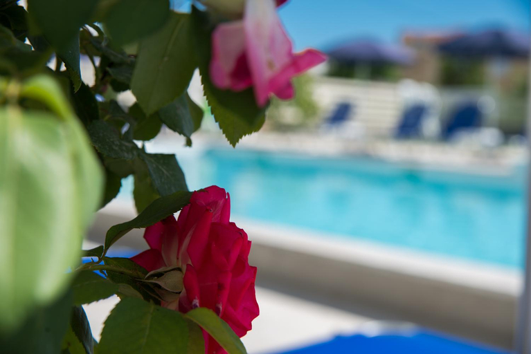 Others 4, Laganas Dreams 2, Ionian Islands
