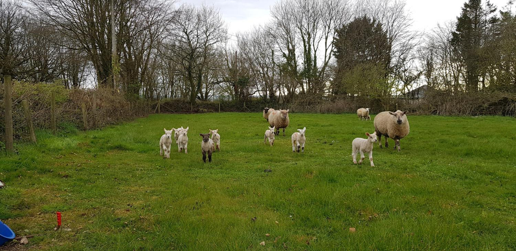 Others 2, Ebberley Escapes, Devon
