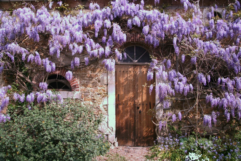 Exterior & Views 4, Chambres d'hotes Le Clos d'Hauteville, Sarthe