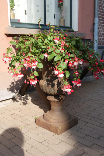 Others 5, De Zevenster centrum, Kampen