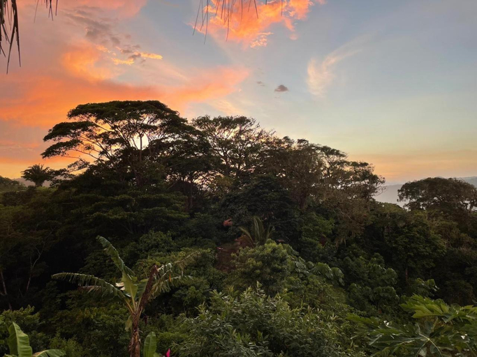 Others 5, Taorayina nature lodge- immersed in the forest, Santa Marta (Dist. Esp.)