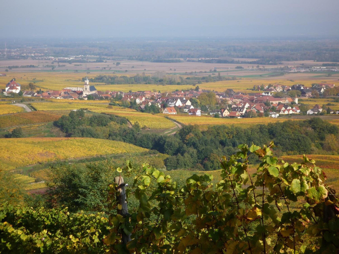 Others 4, Hotel A la Vignette - COLMAR-NORD, Haut-Rhin