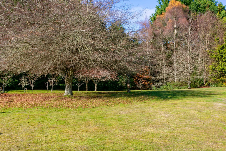 Others 2, Lupin Lodge Bed & Breakfast, Taupo