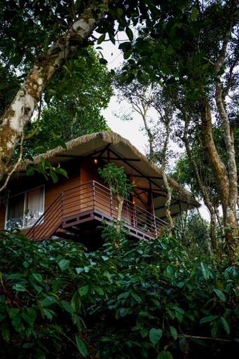 Others 3, Coffee Cradle Wayanad Luxuorios Private Tree House - Inside 2 Acre Coffee Plantation, Wayanad