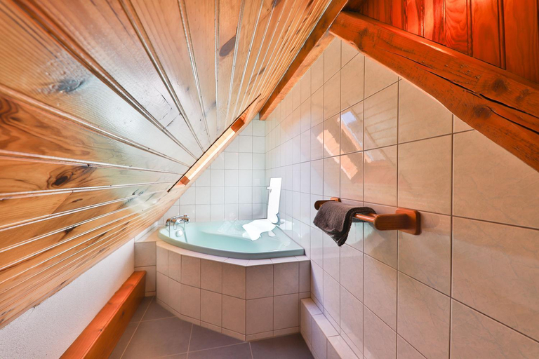 Bathroom 2, Spacieux et confortables gites a proximite randonnees, lacs, ski nature, Haut-Rhin