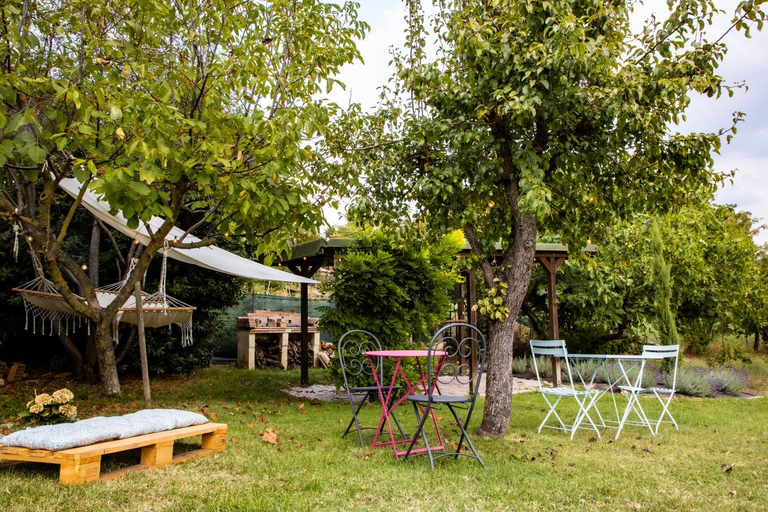 Others 3, Dimidium, Reggio Nell'Emilia
