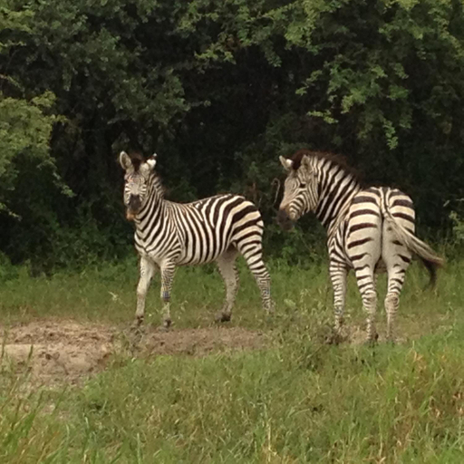 Others 3, Ibenstein Safaris, Windhoek Rural