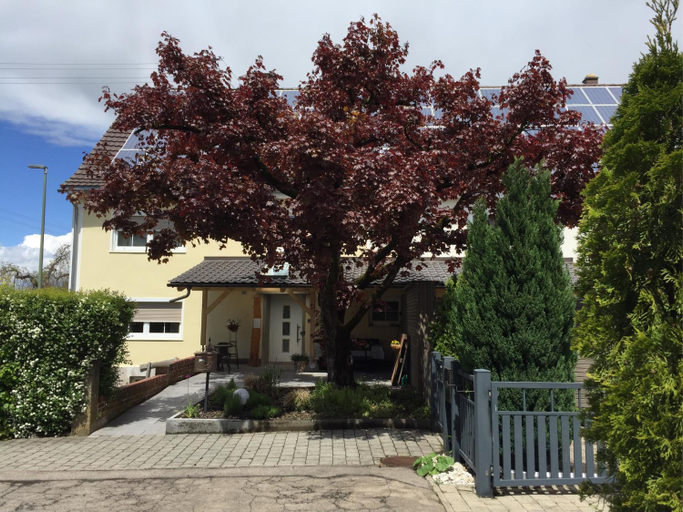 Others 4, Apartmentvermietung Ingrid Bolkart - Vohlino 2, Neu-Ulm