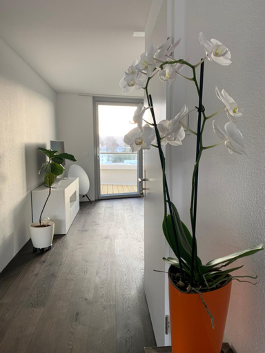 Others 4, Central & Elegant Room in Biel, Biel