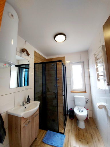 Bathroom 4, Domki pod Bukowym lasem, Bieszczady
