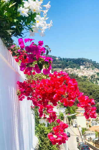 Others 3, Les Lilas, Alpes-Maritimes