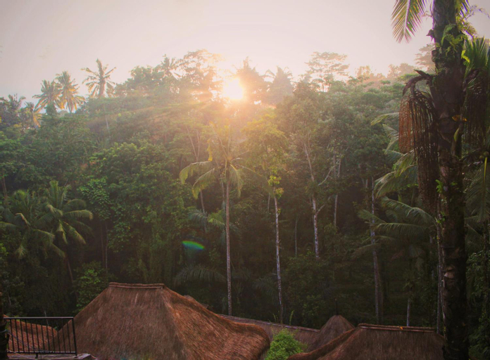 Scenery 20