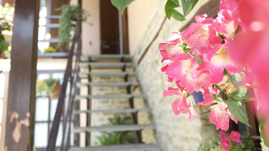 Others 5, Cit Ni, Cuneo