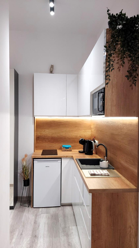 Others 2, theApartments Gdanska, Łódź