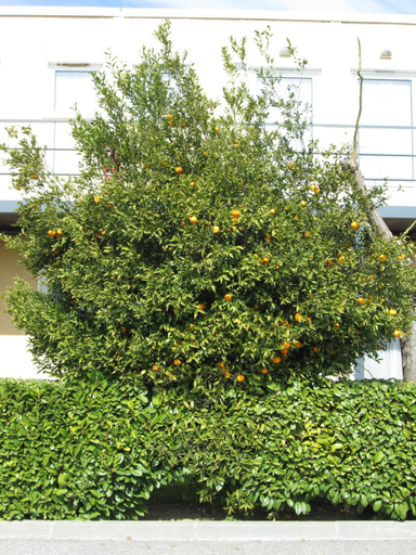Exterior & Views 2, Hôtel Ariane, Bouches-du-Rhône