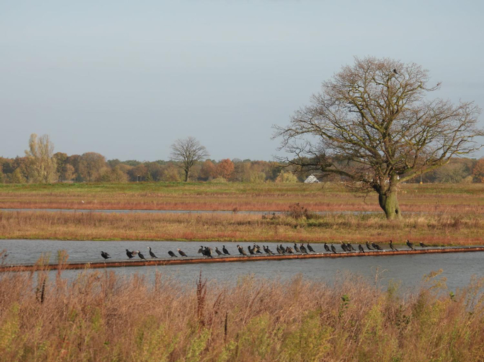 Others 4, B&B de Blauwververij, Meerlo-Wanssum