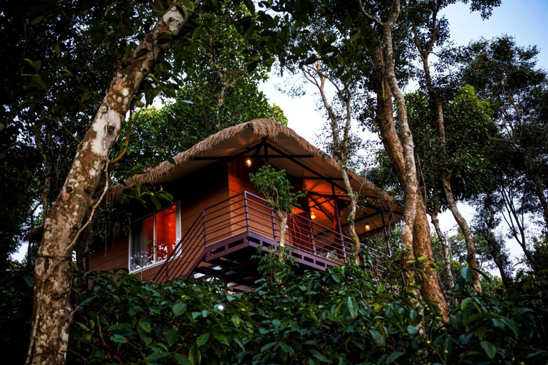 Others 4, Coffee Cradle Wayanad Luxuorios Private Tree House - Inside 2 Acre Coffee Plantation, Wayanad