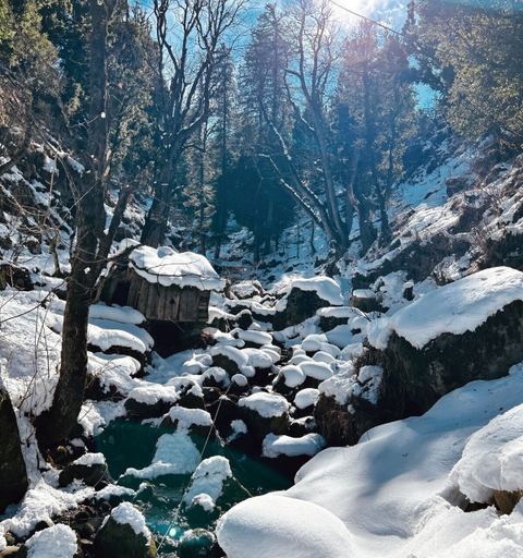 Others 3, Zevibes Cafe & Homestay, Kullu