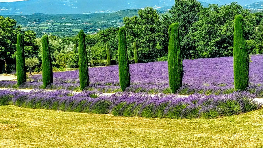 Others 4, Le mas de Roussillon chambre d'hotes, Vaucluse