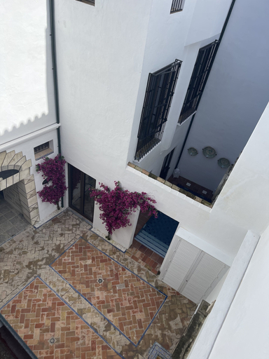 Others 4, GANDESA CASA PALACIO, Sevilla